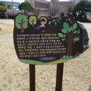 오리야오리 이미지