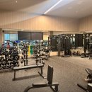 업핏 웰니스 클럽 이미지