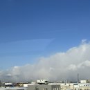 개발새발 | [삿포로] : 훗카이도랩 프리미엄 비에이투어 내돈내산 후기(눈보라오던 크리스마스트리)