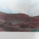 다래 공인중개사사무소 이미지