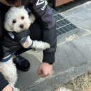 Stay here 이미지