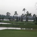 파라다이스골프장 이미지