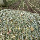 호연농축산 이미지