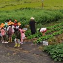 중앙원예 이미지