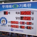 마팔하이테코 이미지