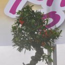 원남면주민자치센터 이미지