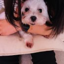 [블챌주간일기]8월 4주차&amp;9월 1주차 모두가 살기 좋은 세상이면 좋겠어