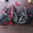 2박3일낚시터 이미지