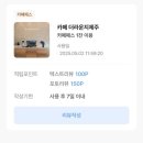 제주도렌트 제주패스 KD렌터카 내돈내산 이용 후기(완전자차, 플러스보험, 카페패스프리미엄)