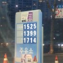 Surfing ma 이미지