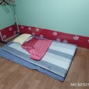 보배다방 이미지