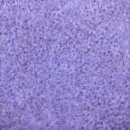 해운대문화회관 제2전시실 이미지