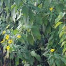 현성농장 이미지