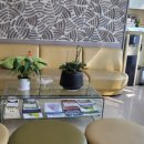 석성화한의원 이미지