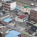 개미부동산중개 이미지