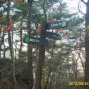 양지약수터 이미지