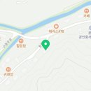 놀러오개 애견유치원 호텔 고기점 이미지