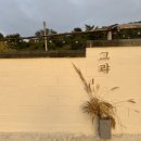 스테이그랴 이미지