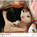 이불이야기 - 울진군 평해로 71-1 | 이불이야기
