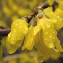 평사리공원1 이미지