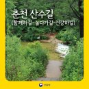 숲해설가와 떠나는 가을 숲 나들이 - 금정산 숲길 탐방 | [명품숲길 50선] 춘천 산수길 완전정복! 하늘하길·놀다가길·건강하길로 떠나는 힐링 트레킹