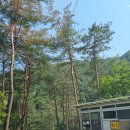 왕피천 숲속 캠핑장 이미지