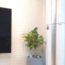 사파동386 이미지