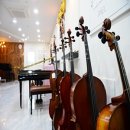 비올라 1:1 개인레슨 이미지