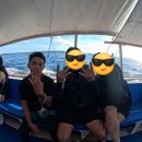 또 보홀여행❤️(+4일차!/케이호핑투어)