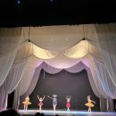 스페셜 갈라 발레콘서트 이미지