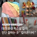 대전 퍼스널컬러 "컬러온더비"에서 받은 봄웜라이트 진단 후기