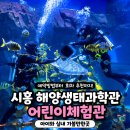 컨텐츠컬렉티브 | 경기도 아이와 실내 가볼만한곳 시흥해양생태과학관 예약방법 주차 주말관람 후기