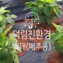 덕림환경 이미지