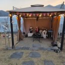 디어마이펫 이미지