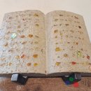 자연으로Ⅱ 이미지