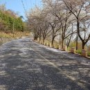 바위솔펜션 이미지