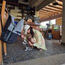 그늘막55 | 이집트 Day9ㅣ다이버들의 무덤 '블루홀' 황홀함과 개빡침의 롤러코스터ㅣ울프사파리 블루홀 라스아부갈...