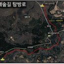 남조로 사려니숲길입구 이미지