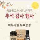 뉴질랜드1642대구범어점