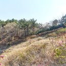 왕궁리유적전시관 | 익산여행 - 입점리 고분 전시관(백제고분) 산책