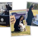 애견시대 이미지