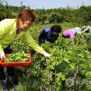 김현중농장 이미지