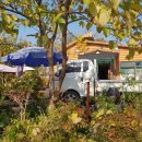 화성식사집 이미지