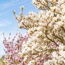 흥동 농장 이미지