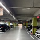 동탄중심상가2길 | 동탄 맛집 추천 미스터똥꼬 방문 후기