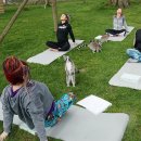 여우요가 이미지