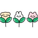 종로쭈꾸미(반구점) 이미지