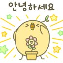 축산물도매일번가 - 은평구 연서로 251 | 축산물도매일번가