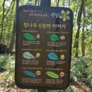 영회원약수터 이미지