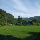 신전권역 이미지